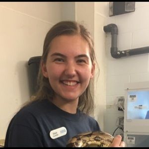 Meet your Posher, Grace